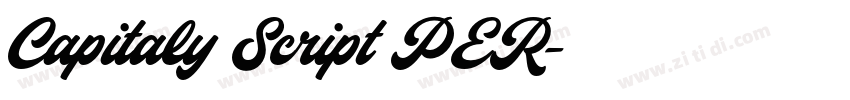 Capitaly Script PER字体转换